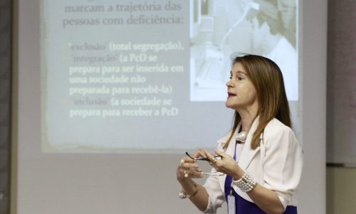 Congressos. Seminários. Palestras